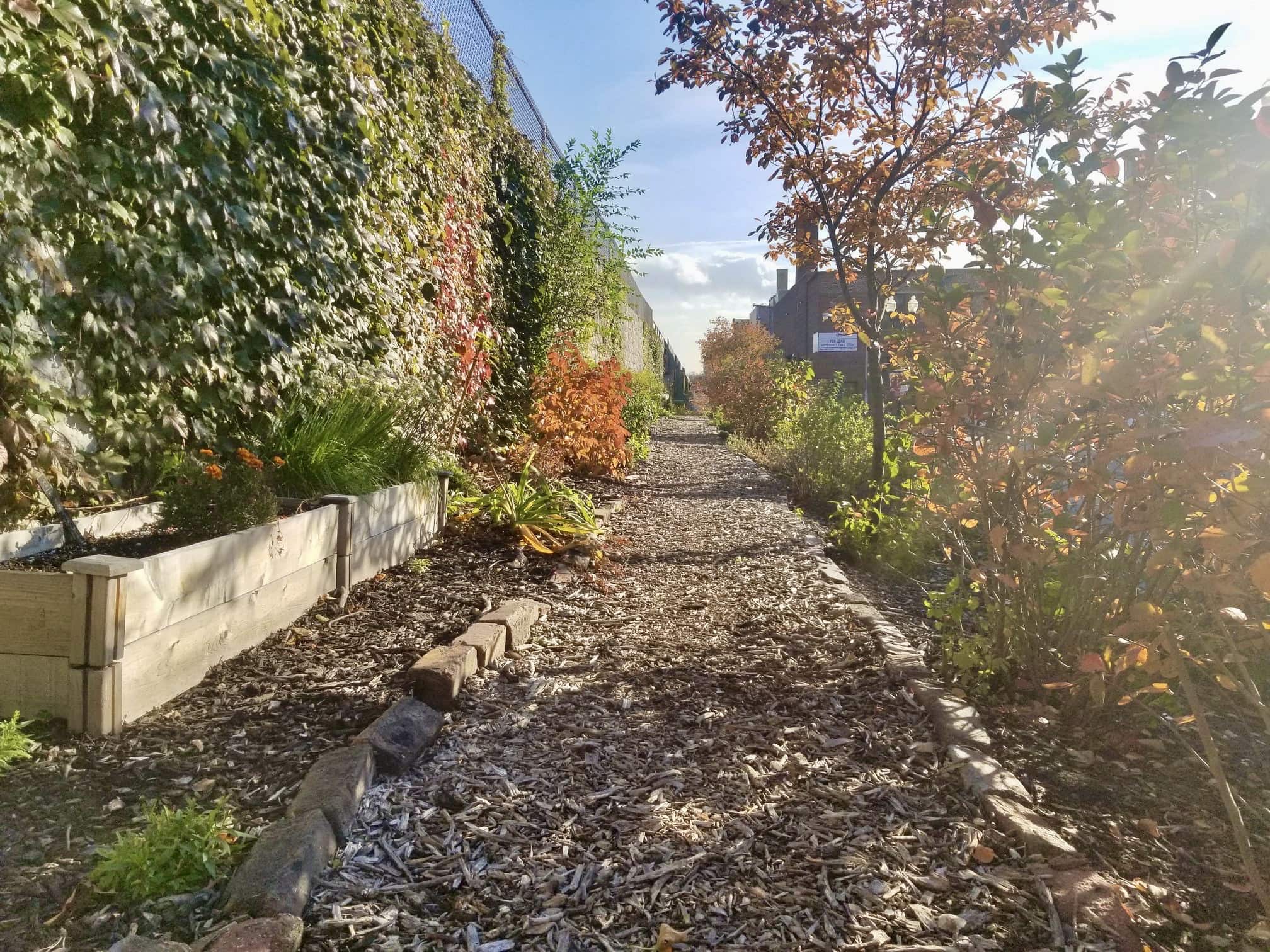 Landscaping & Neighborhood Beautification