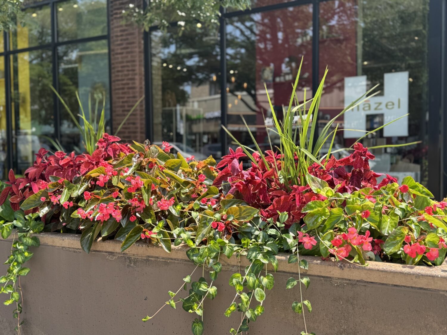 A GRCC planter on Montrose Ave
