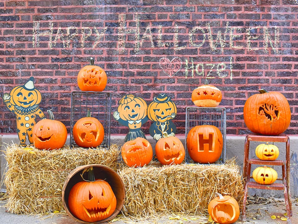 Hazel's pumpkin patch for Halloween in Ravenswood