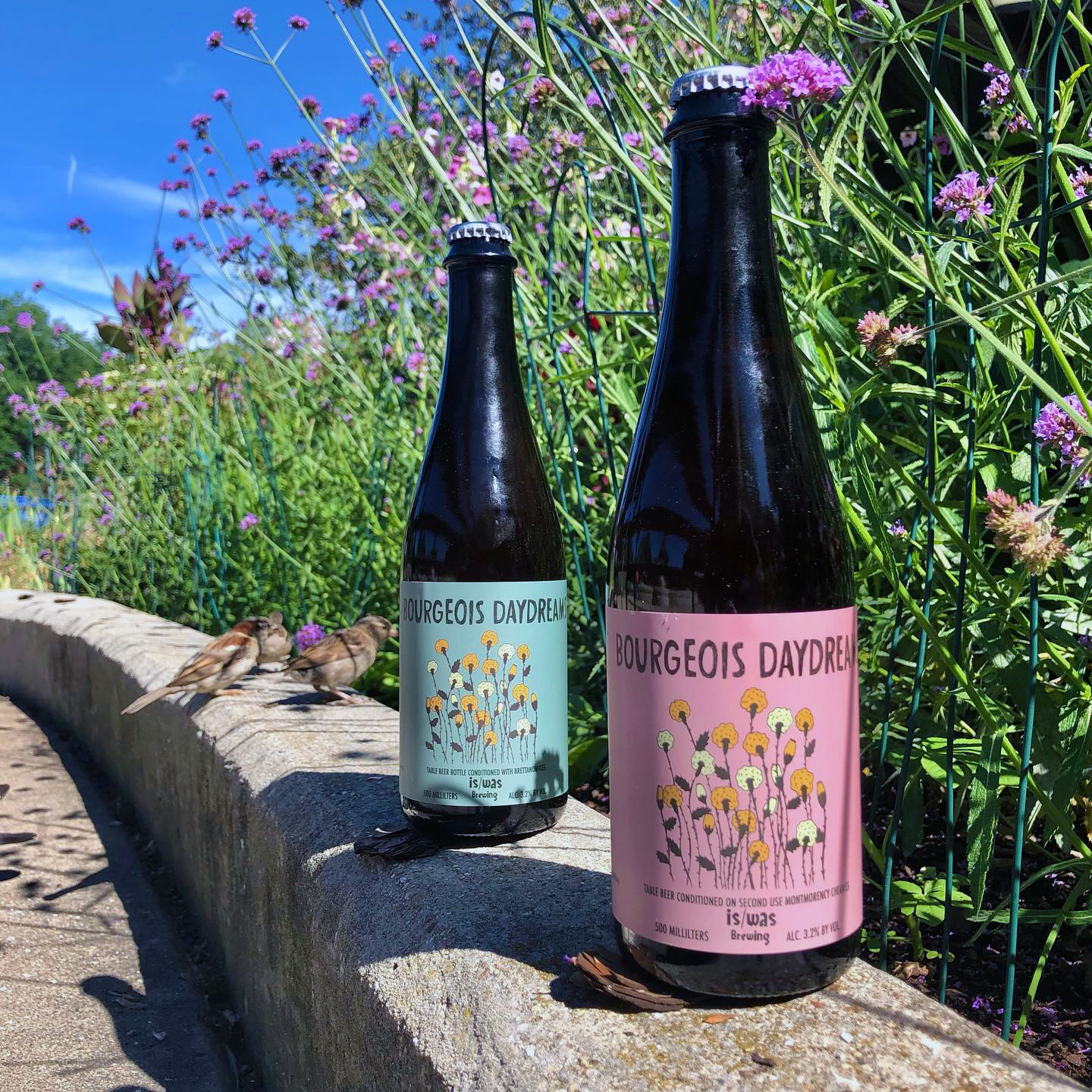 Is Was Brewing Bourgeois Daydream