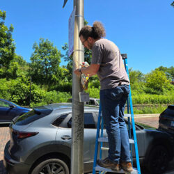 Cicada Parade-a 2024 in Ravenswood