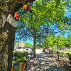 Cicada Parade-a 2024 in Ravenswood