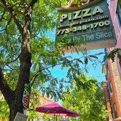 Cicada Parade-a 2024 in Ravenswood