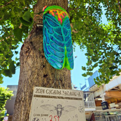 Cicada Parade-a 2024 in Ravenswood